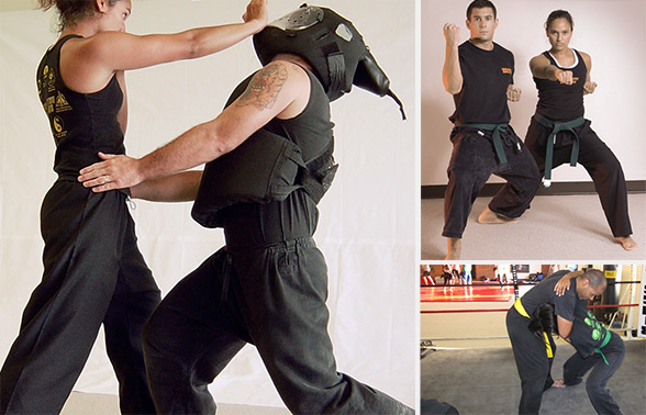 ICS - Integrated Combative System